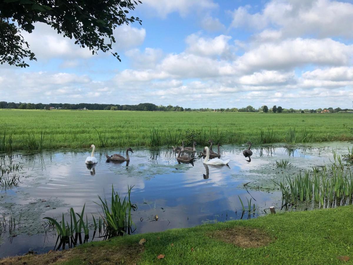 Prive In Een Bosrijke Omgeving Welkom Bij Gastenverblijf Het Ontsnapte Schaap In Jubbega 外观 照片