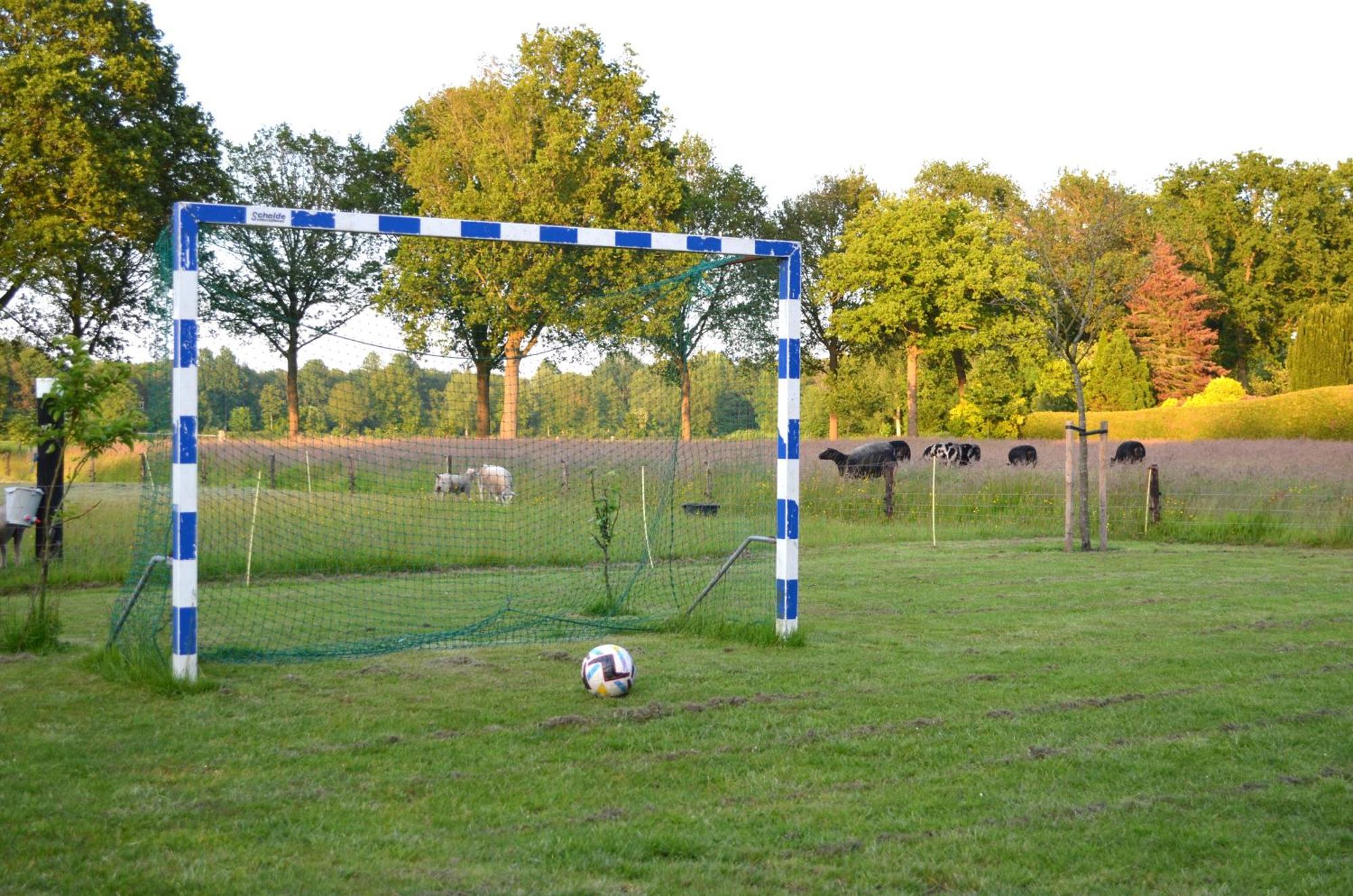Prive In Een Bosrijke Omgeving Welkom Bij Gastenverblijf Het Ontsnapte Schaap In Jubbega 外观 照片