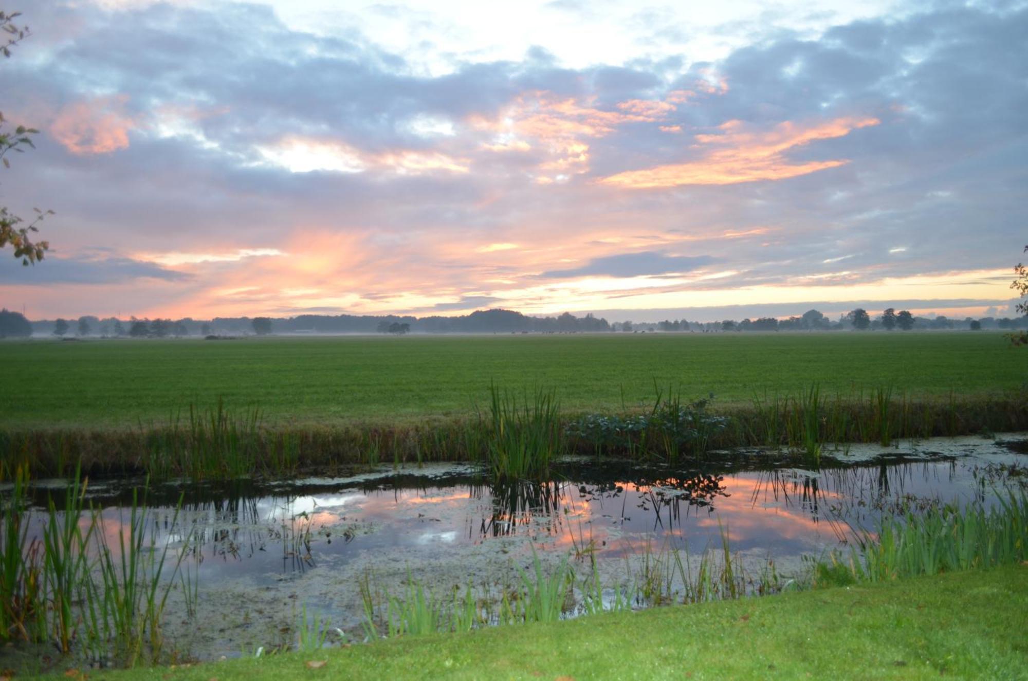 Prive In Een Bosrijke Omgeving Welkom Bij Gastenverblijf Het Ontsnapte Schaap In Jubbega 外观 照片